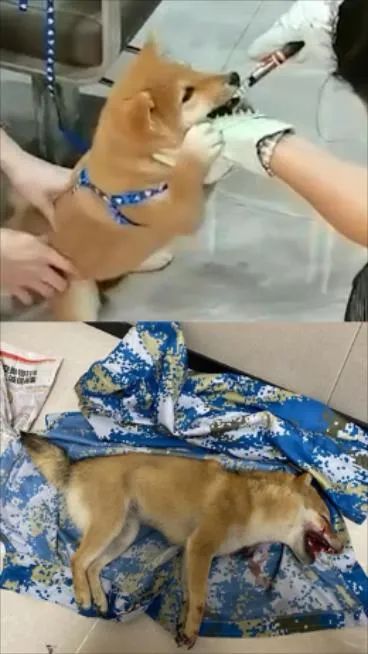 DƬ